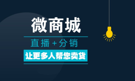 微商分銷系統(tǒng)的主要功能有哪些？