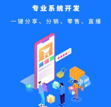 分銷系統開發(fā)有哪些方面需要特別注意？